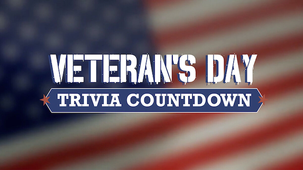 Veteran's Day Video image number null